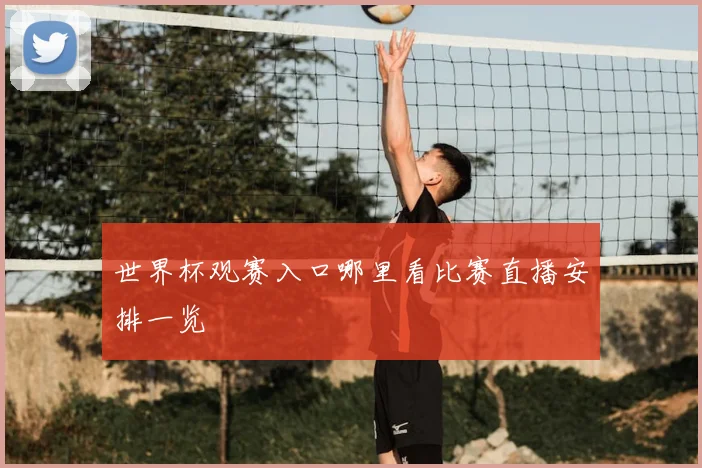 世界杯观赛入口哪里看比赛直播安排一览