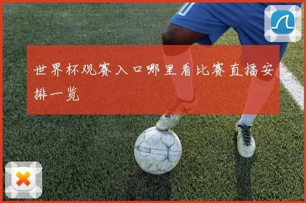 世界杯观赛入口哪里看比赛直播安排一览