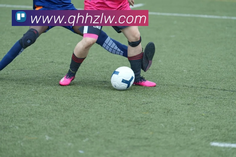 爱体育电子官网首页平台生态图